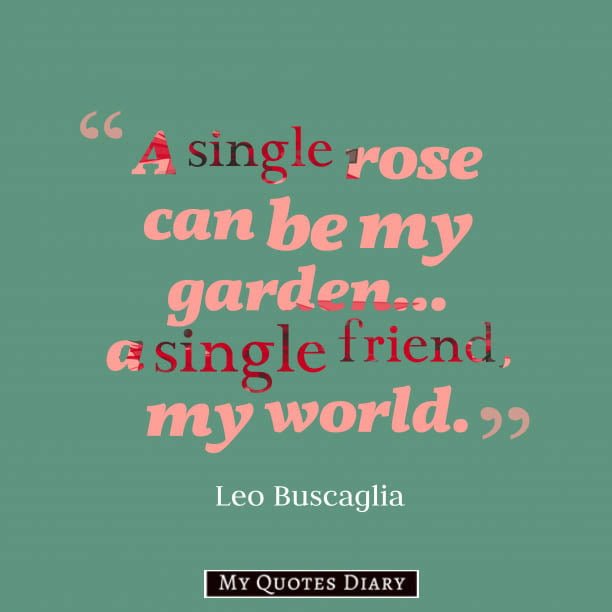 Quotes for Friendship with Images