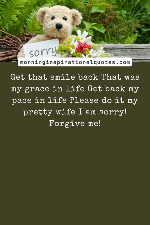 I Am Sorry Messages For Wife