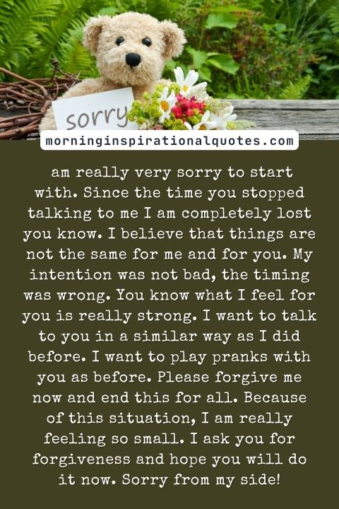 I Am Sorry messages