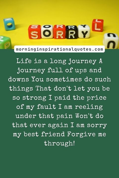 i am sorry messages for friends