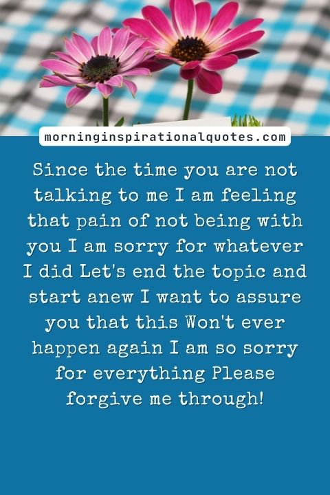 i am sorry messages for friends