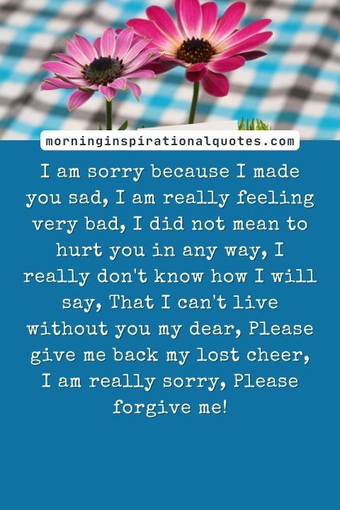 Sorry Poems For Him