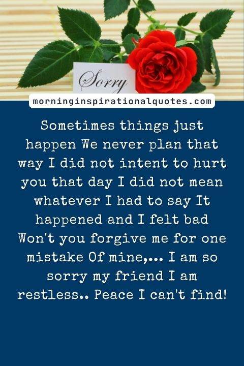 i am sorry messages for friends
