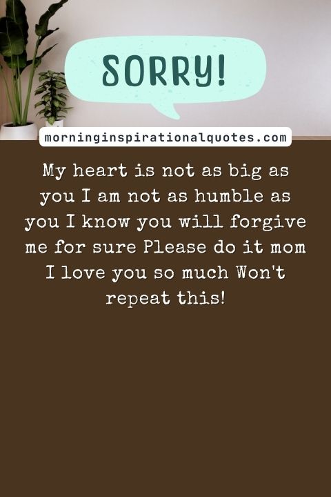 I Am Sorry Messages For Mom
