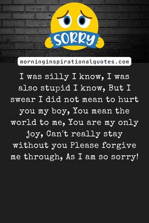 Sorry Poems For Him