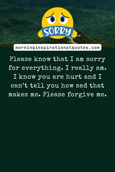 i am sorry messages for friends