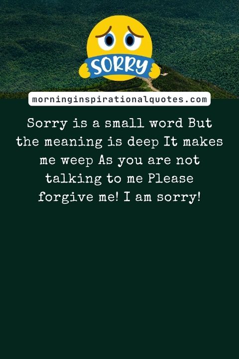 I Am Sorry Messages For Wife