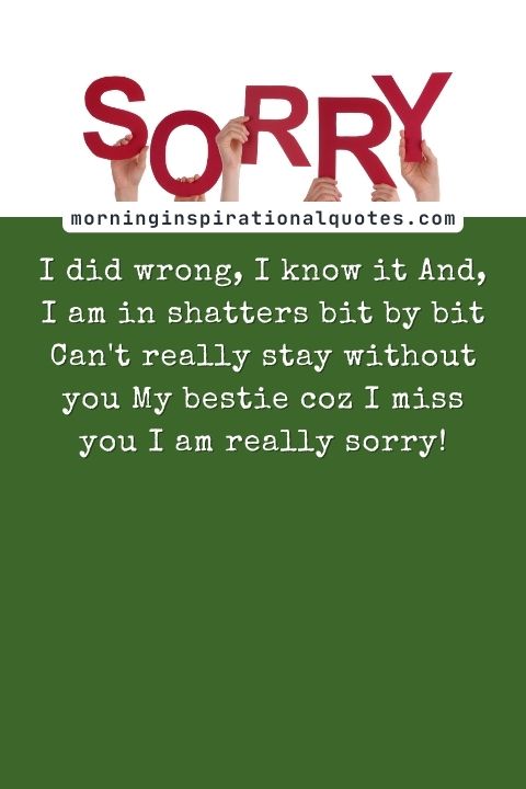 i am sorry messages for friends