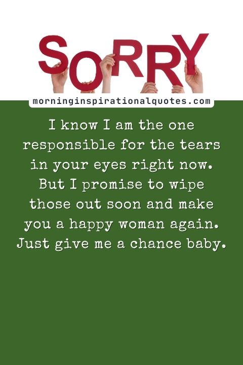 I Am Sorry Messages For Wife