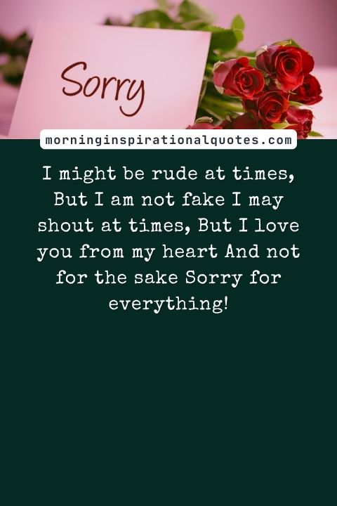 i am sorry messages for friends
