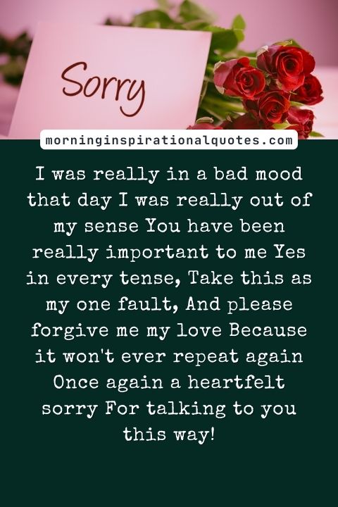 I Am Sorry Messages For Wife