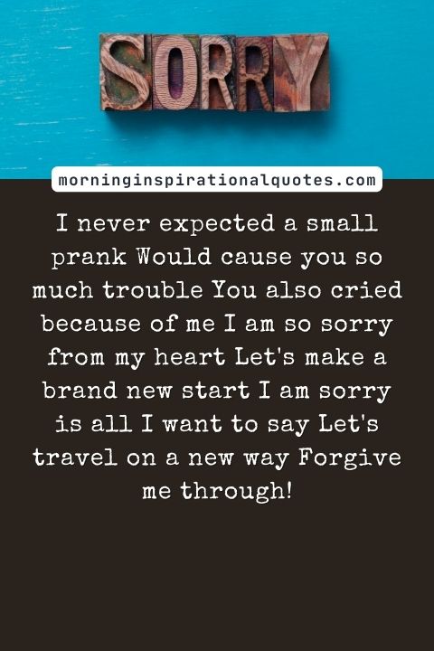 i am sorry messages for friends